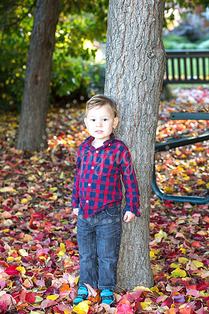 IMG_0081-Edit