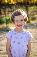 bollman-huckleberry-1