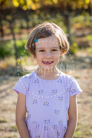 bollman-huckleberry-1