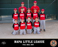 14-Santa Clara Broncos