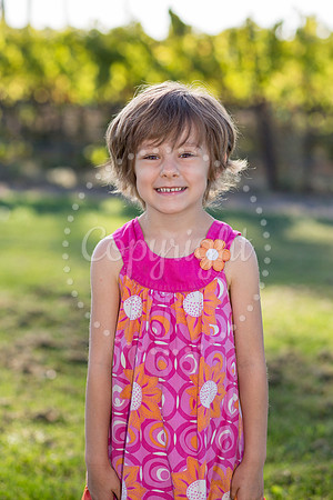 bollman-huckleberry-3