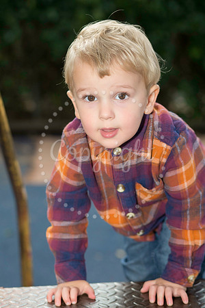 IMG_0310-Edit