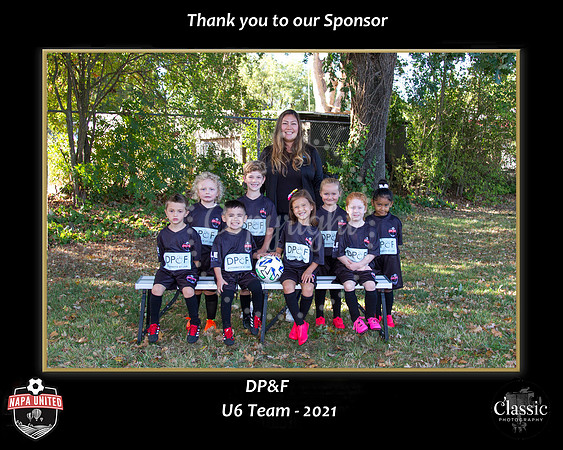 DPFSponsor