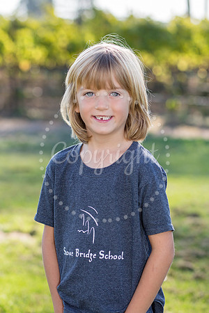 anderson-mulberry-3