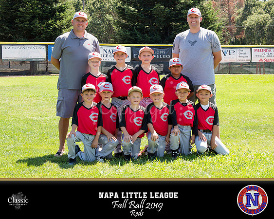 NV_templateNLL fall ball 19-Recovered