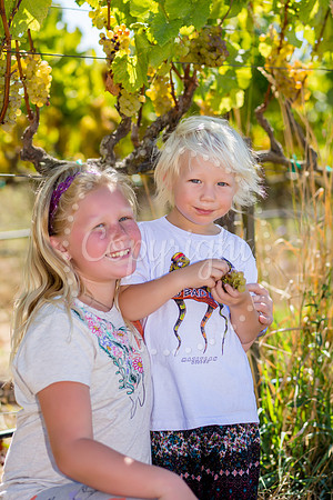 sibling_buddy-118