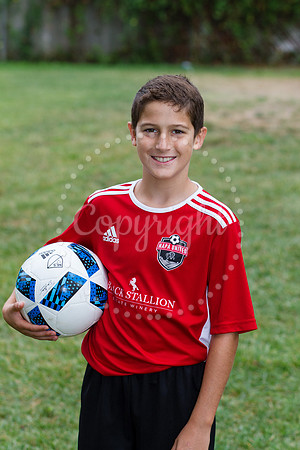 IMG_9852U12BBlackStallionGass