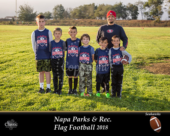 NV_templateflag football
