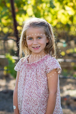 walden-huckleberry-3