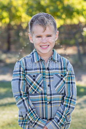 janovich-huckleberry-1
