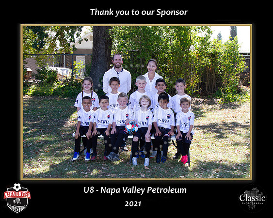 NVPSponsor