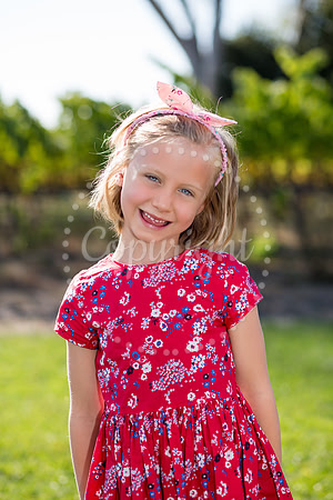 goldberg-mulberry-2