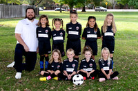 2511_CoombsLaw copy