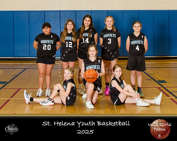 U12Hornets