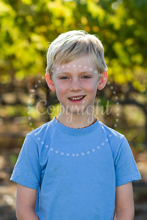 potter-mulberry-2