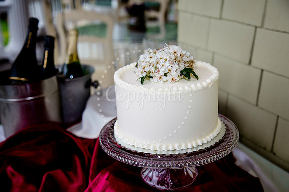 Kacie&Jonathan12