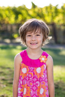 bollman-huckleberry-2