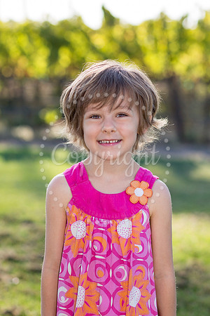 bollman-huckleberry-2
