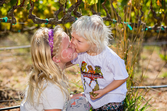 sibling_buddy-119