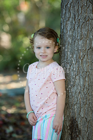IMG_0397_