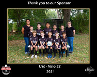 VInoSponsor