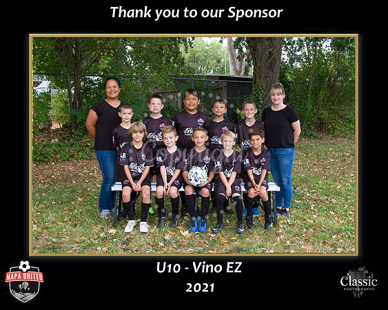 VInoSponsor