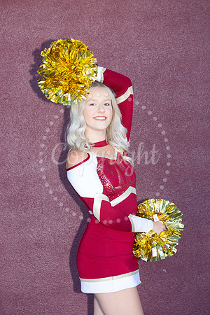 Savannah_2