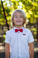 burnett-huckleberry-2_