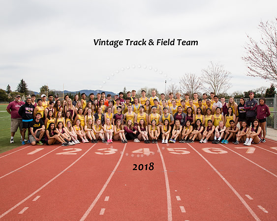 VCT&F1