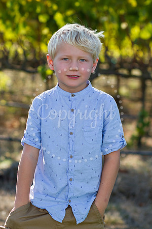 haycock-mulberry-1