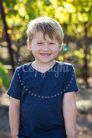 henry-huckleberry-1