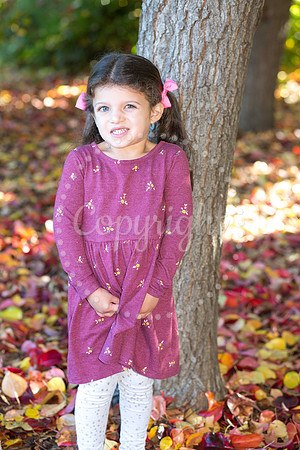 IMG_0354-Edit